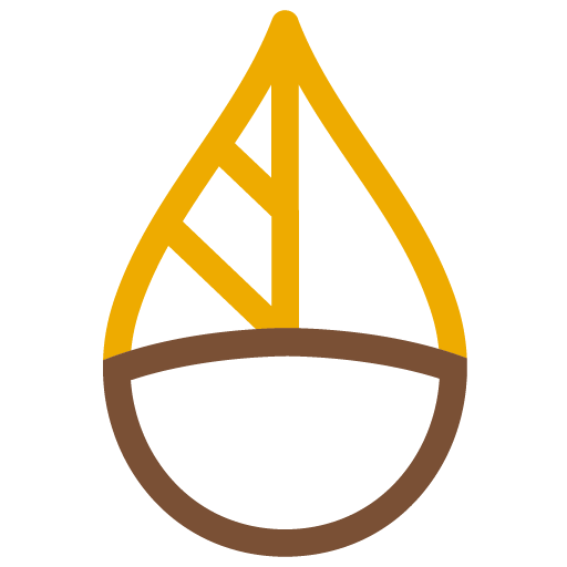 cropped-icone-carree