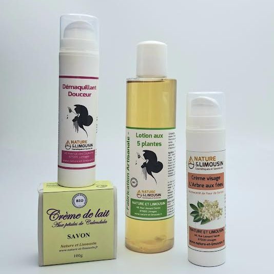 ma routine soin du visage + 1 duo de lingettes offert